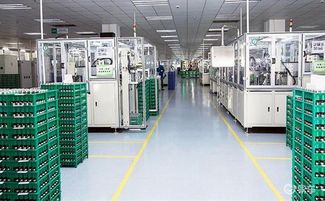 宁德时代首个海外工厂正式动工，信息技术咨询服务助力全球化布局